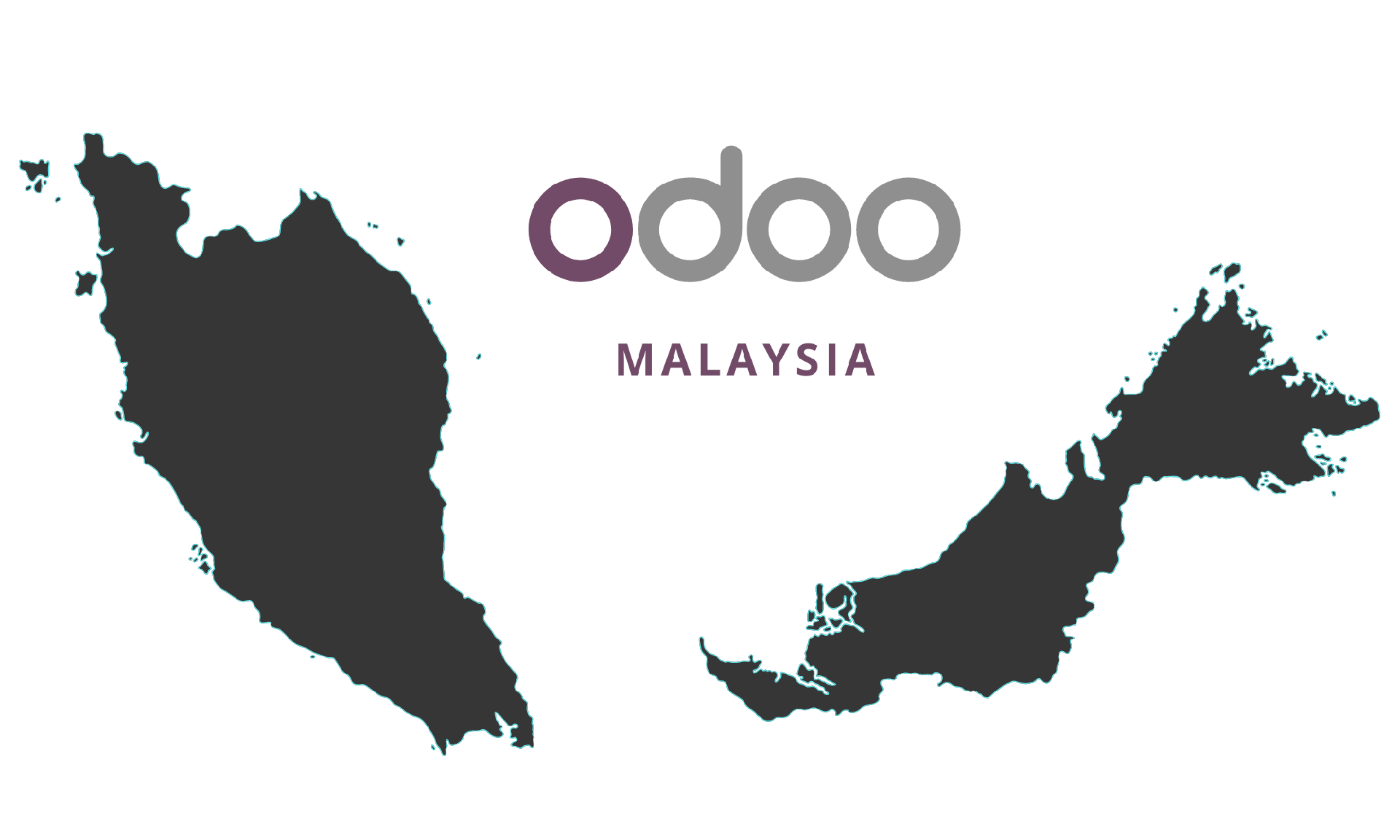 Odoo Malaysia Localization.