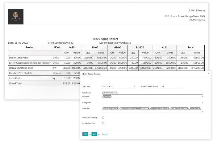 Stock Aging Report | Localized Odoo Inventory